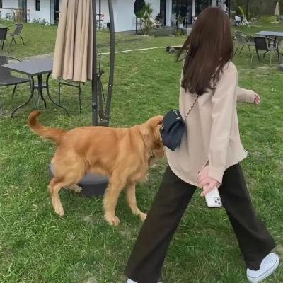 最棒的欧巴桑中岛春子3
